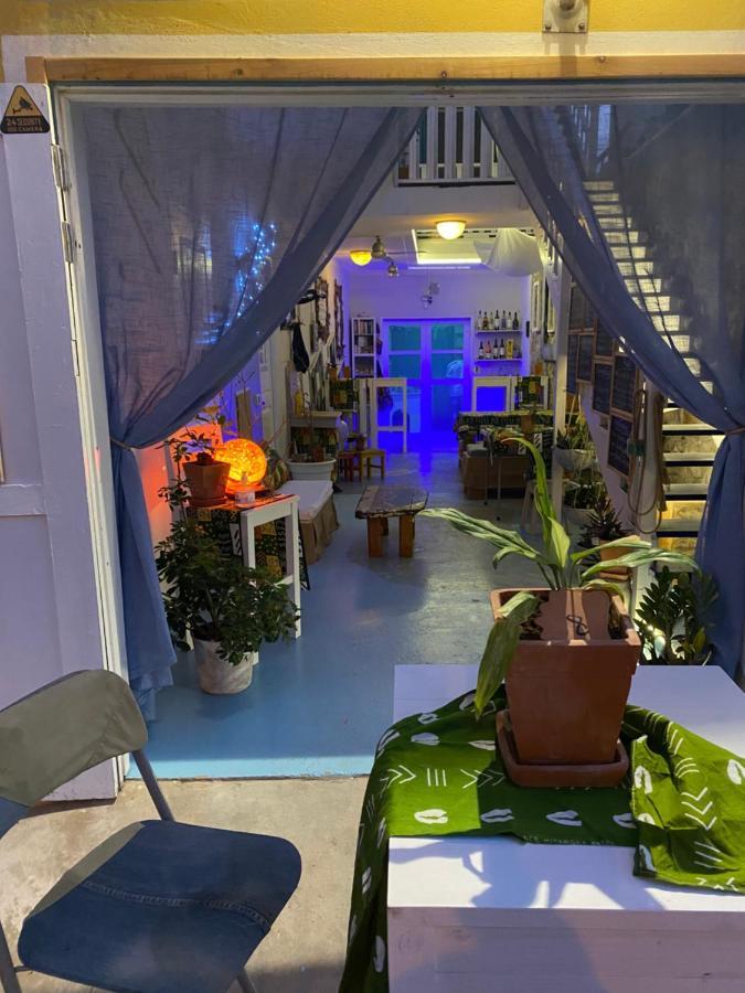 B&B Mi Ma Bo, Sal Rei, Boa Vista, Cape Verde, Free Wi-Fi エクステリア 写真