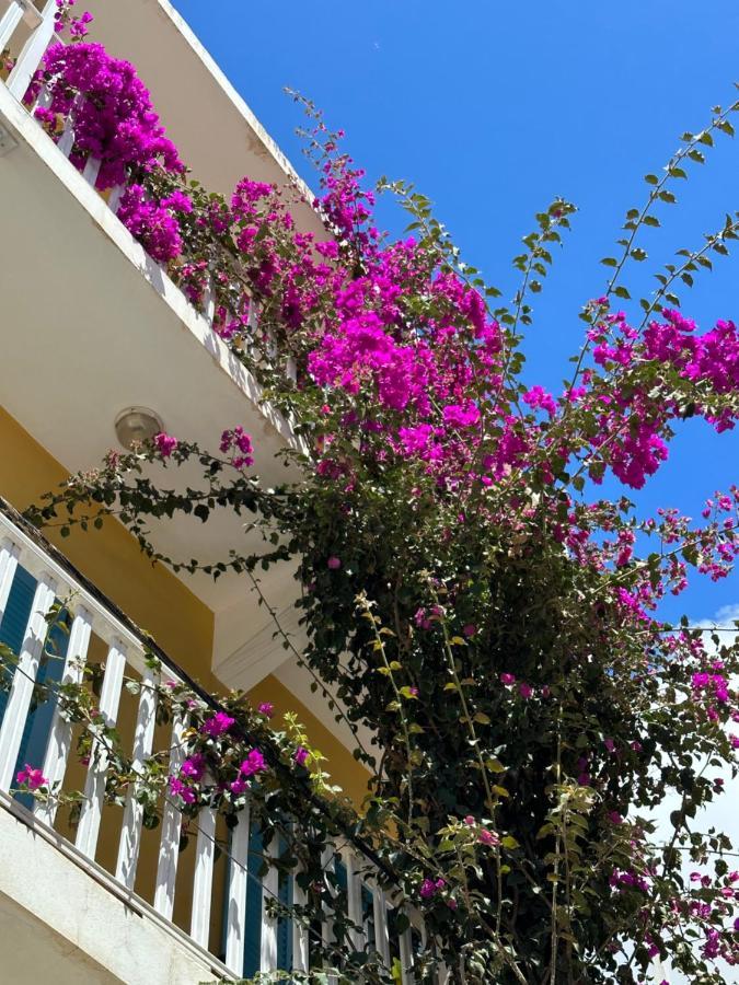 B&B Mi Ma Bo, Sal Rei, Boa Vista, Cape Verde, Free Wi-Fi エクステリア 写真