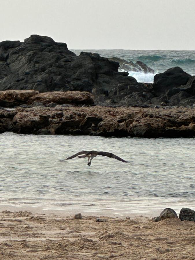 B&B Mi Ma Bo, Sal Rei, Boa Vista, Cape Verde, Free Wi-Fi エクステリア 写真
