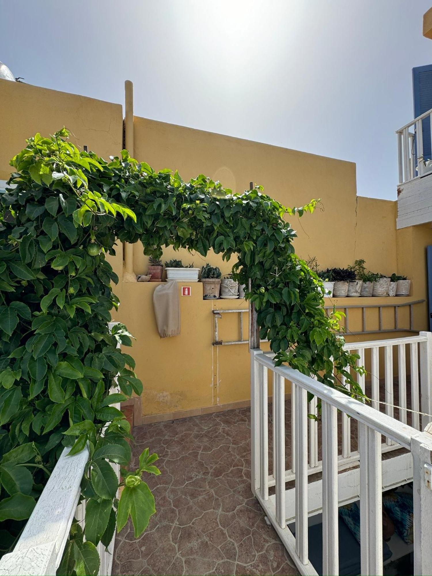 B&B Mi Ma Bo, Sal Rei, Boa Vista, Cape Verde, Free Wi-Fi エクステリア 写真
