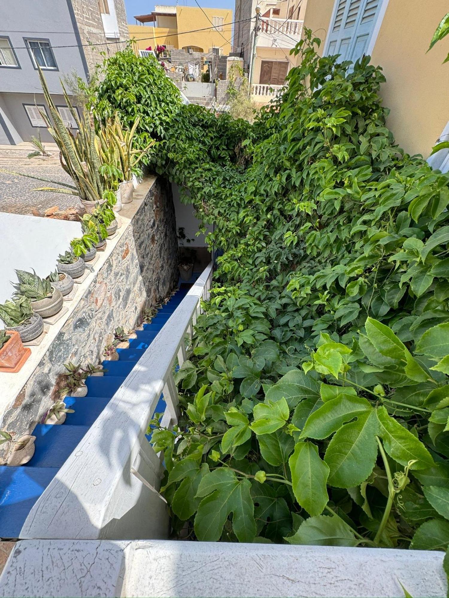 B&B Mi Ma Bo, Sal Rei, Boa Vista, Cape Verde, Free Wi-Fi エクステリア 写真