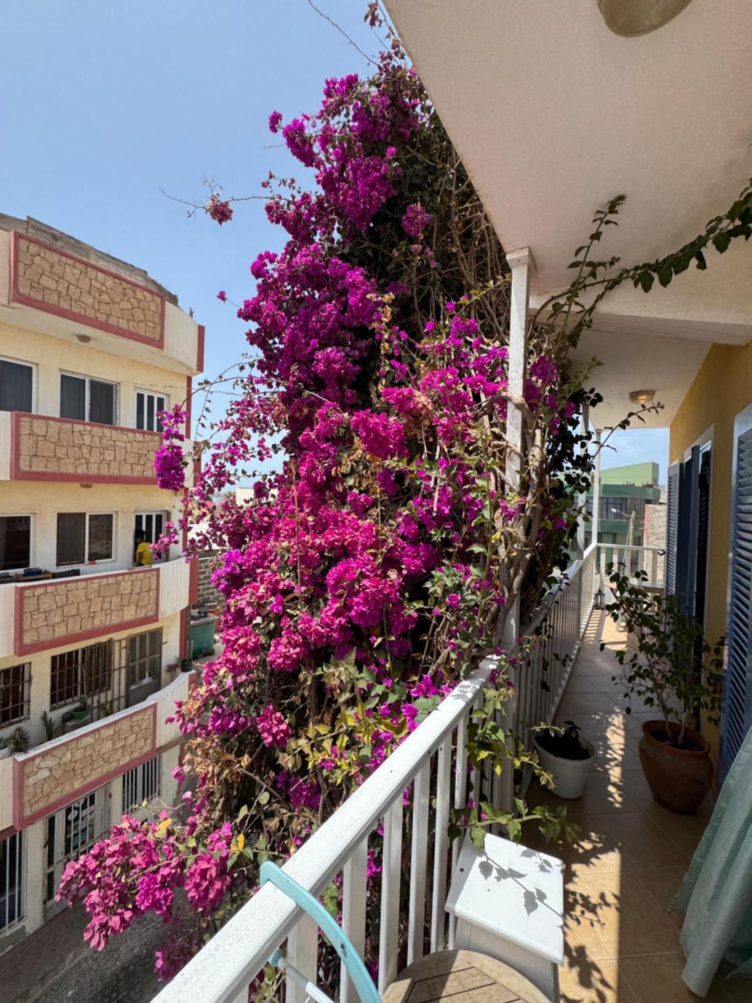B&B Mi Ma Bo, Sal Rei, Boa Vista, Cape Verde, Free Wi-Fi エクステリア 写真